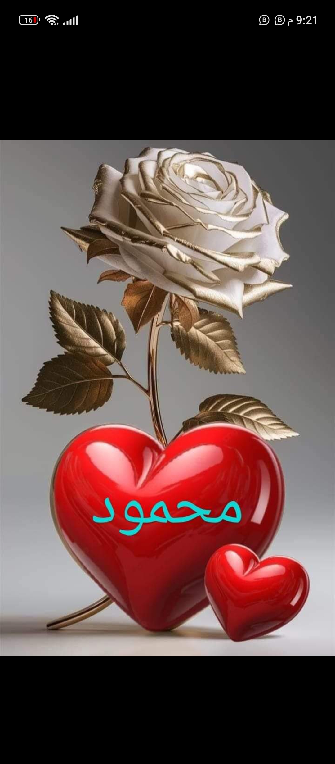 ���� ������_3tEsx